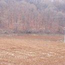 어상천면사무소 이미지