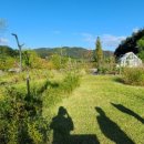 파라다이스무인텔 이미지