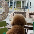 송가네 바다별장 | 사랑으로 가득한 제 4월을 보세요