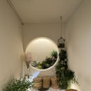 을지초교 | 신사역 파스타 맛집 : 을지다락 가로수길점