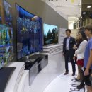 베스트 인 쇼 이미지