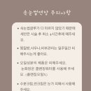 아르미속눈썹 네이버블로그
