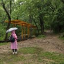 웰컴캐노피 이미지