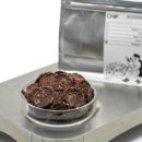 너구리 유격대 이미지