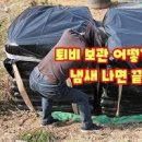 퇴비 도착! 남은 미숙퇴비 보관방법 *팔레트 비닐 덮개 이미지