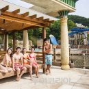 비발디파크오션월드 이미지