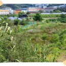 광재농장 이미지