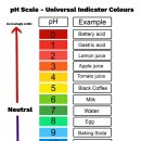 pH(power of Hydrogen ; 수소이온 농도 지수) 이미지