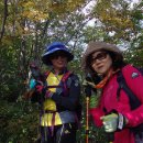 경남 함양 황석산 산행(1190m)-사과나무, 밤나무, 도토리나무, 그리고 벌, 억새는? 이미지