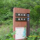 천리자동차정비공업사 이미지