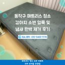 적(積)-흔적 | 동작구 매트리스 청소 강아지 소변 얼룩 및 냄새 완벽 제거 후기 브라운스톤 상도