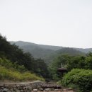 한천자연휴양림 이미지