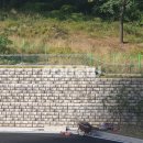 이의중학교 이미지