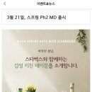 옐로지 이미지