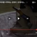 홈플러스PC방 이미지