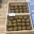 사전7-2 안길 | [성수 팝업] 귤메달 x 프리카 팝업 후기 | 감귤 아이스크림 먹고 본품 럭키드로우!