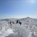 태백산 - 서구 완정로 151 | 태백산