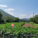 토지수산 이미지