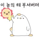 보태니컬+팝아트 이미지