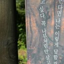 에코해적선 이미지