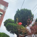 예일스테이 이미지