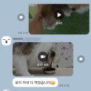 개러리아 이미지