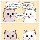 김밥한상 이미지