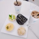 진무체육관 | 화성종합경기타운 실내체육관 여자배구 IBK기업은행 VS GS칼텍스 직관후기(N7구역시야, 경기장 주변 맛집)