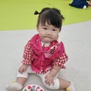 (주)동강시스타 이미지