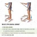 사라필라테스 - 송파구 법원로4길 6 | 사라필라테스