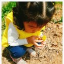 남포농장 이미지