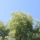 군내초등학교 이미지