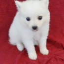 몽글몽글 이미지