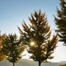 임진강목장 이미지