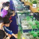 노곡초교 이미지