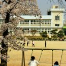 능북초등학교 이미지