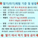 다나농장 | 충남 논산 딸기체험 ‘다나 딸기 농장’ 솔직 후기