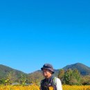 북한강강변길 이미지