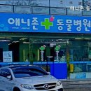 애니존동물병원 이미지