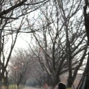 낙동강관리본부 화명생태공원 13 이미지