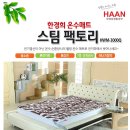 스팀팩토리 네이버블로그