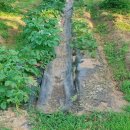 일수농약사 이미지