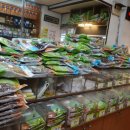 상동본약국 이미지