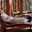 산록남로 이미지