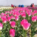 평화농장 이미지