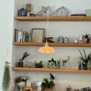 아임파인 이미지