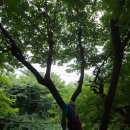 장제로155번길 이미지