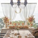 라스칼라 이미지