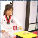 프리미엄 태권마루 태권도장 이미지