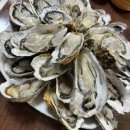 도시바다 이미지